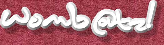 womb@tz logo